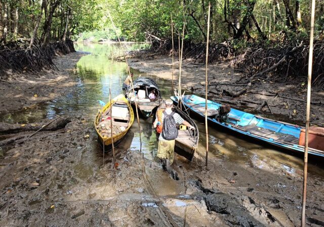 6174823951625202277 - Copy