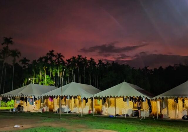 6174823951625202315 - Copy