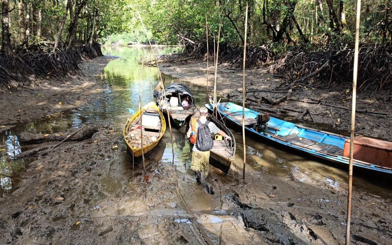 6174823951625202277 - Copy